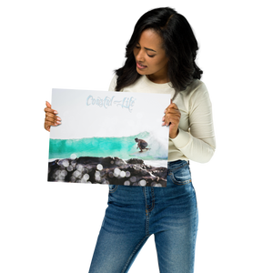 Coastal Life® Surf on Glossy Metal