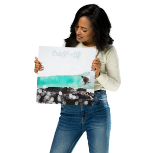 Coastal Life® Surf on Glossy Metal