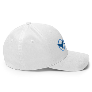 FYC Logo Structured Stretch Sport Twill Cap (10 colors)