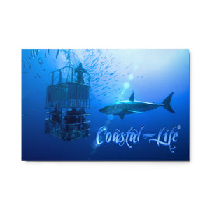 Coastal Life Cage Dive Metal Prints Made in the USA FIND YOUR COAST CO