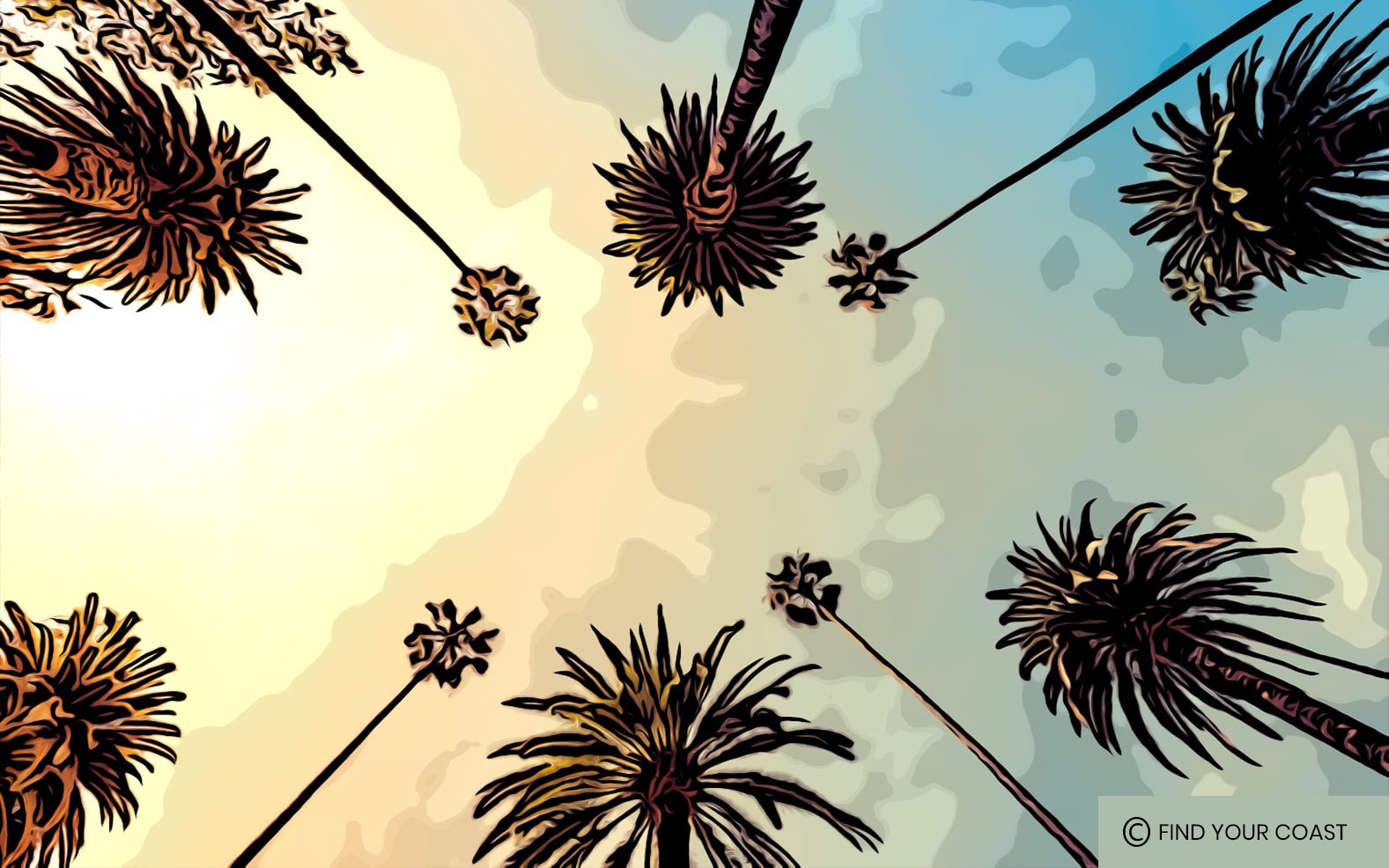 Find Your Coast Apparel Blog Tee Shirt Differences