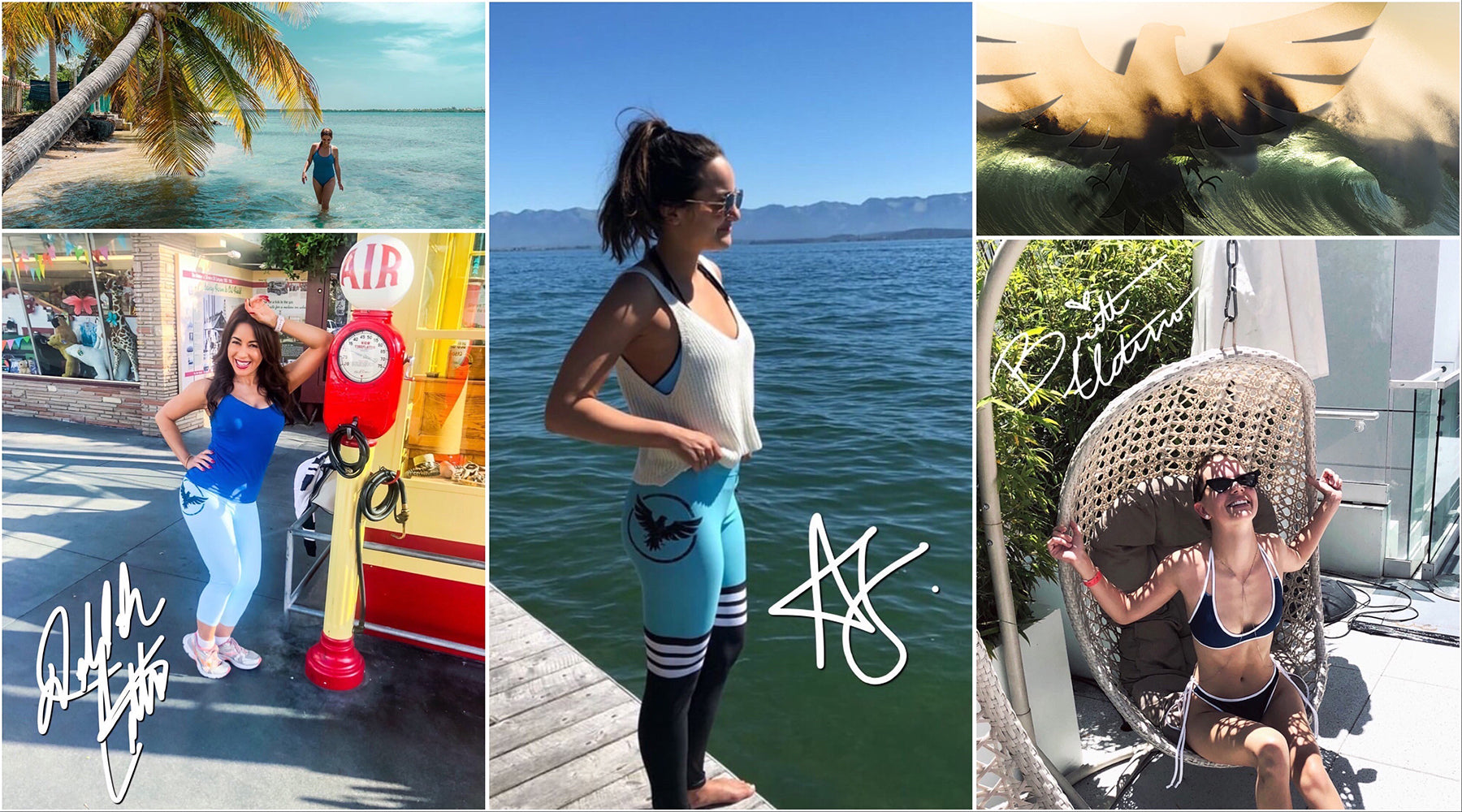 Find Your Coast Celebrity