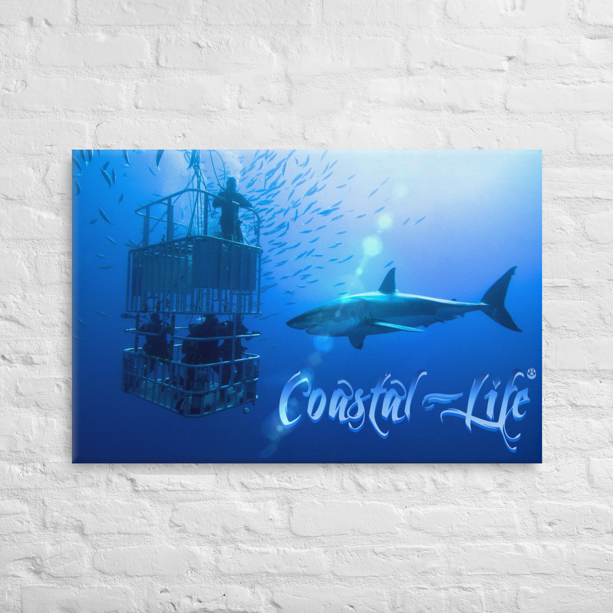 Coastal Life® Cage Dive 24" x 36" on Canvas Print