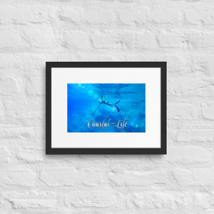 Coastal Life Spear Fishing Matte Paper Framed Poster With Mat Board