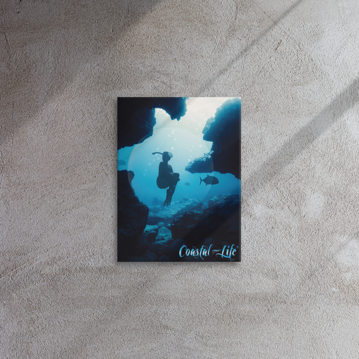 Coastal Life® Dive on Thin Canvas (Digital Download Option)