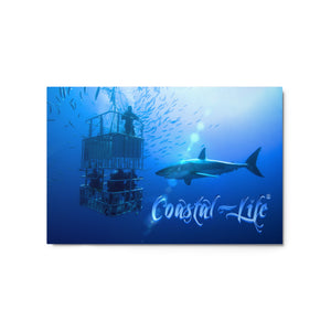 Coastal Life Cage Dive Metal Prints Made in the USA FIND YOUR COAST  CO
