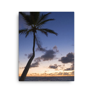 Overlooking Palm - Canvas FIND YOUR COAST  CO