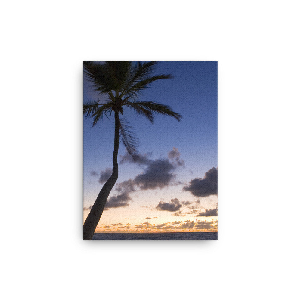 Overlooking Palm - Canvas FIND YOUR COAST  CO